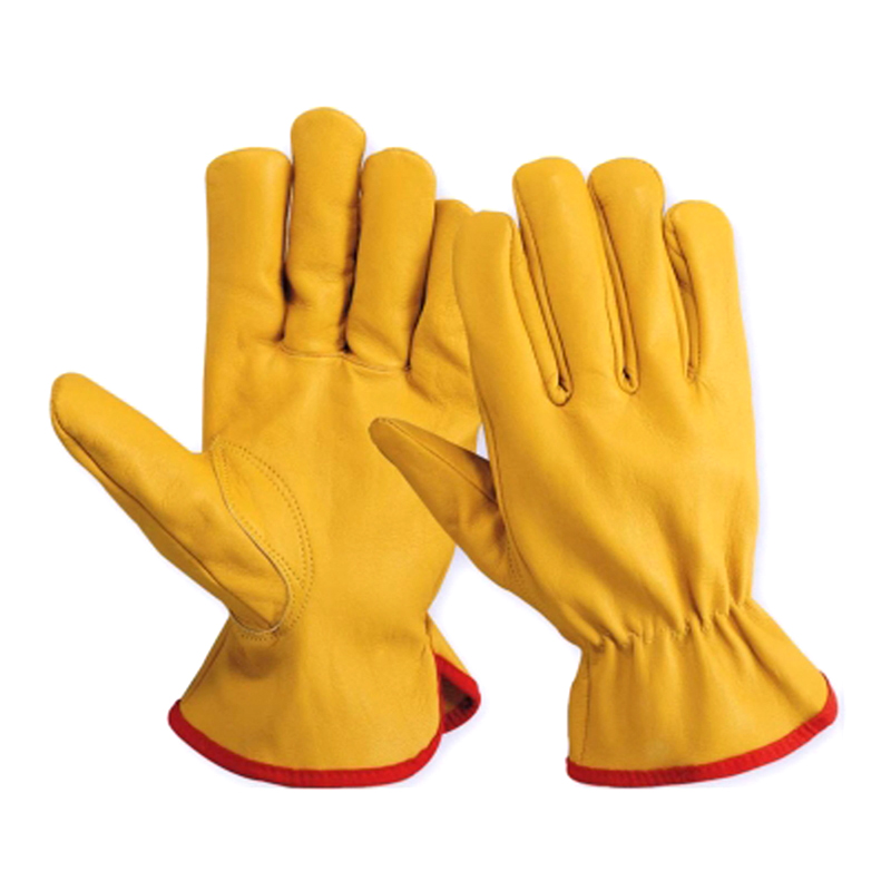 driving_gloves-1.jpg